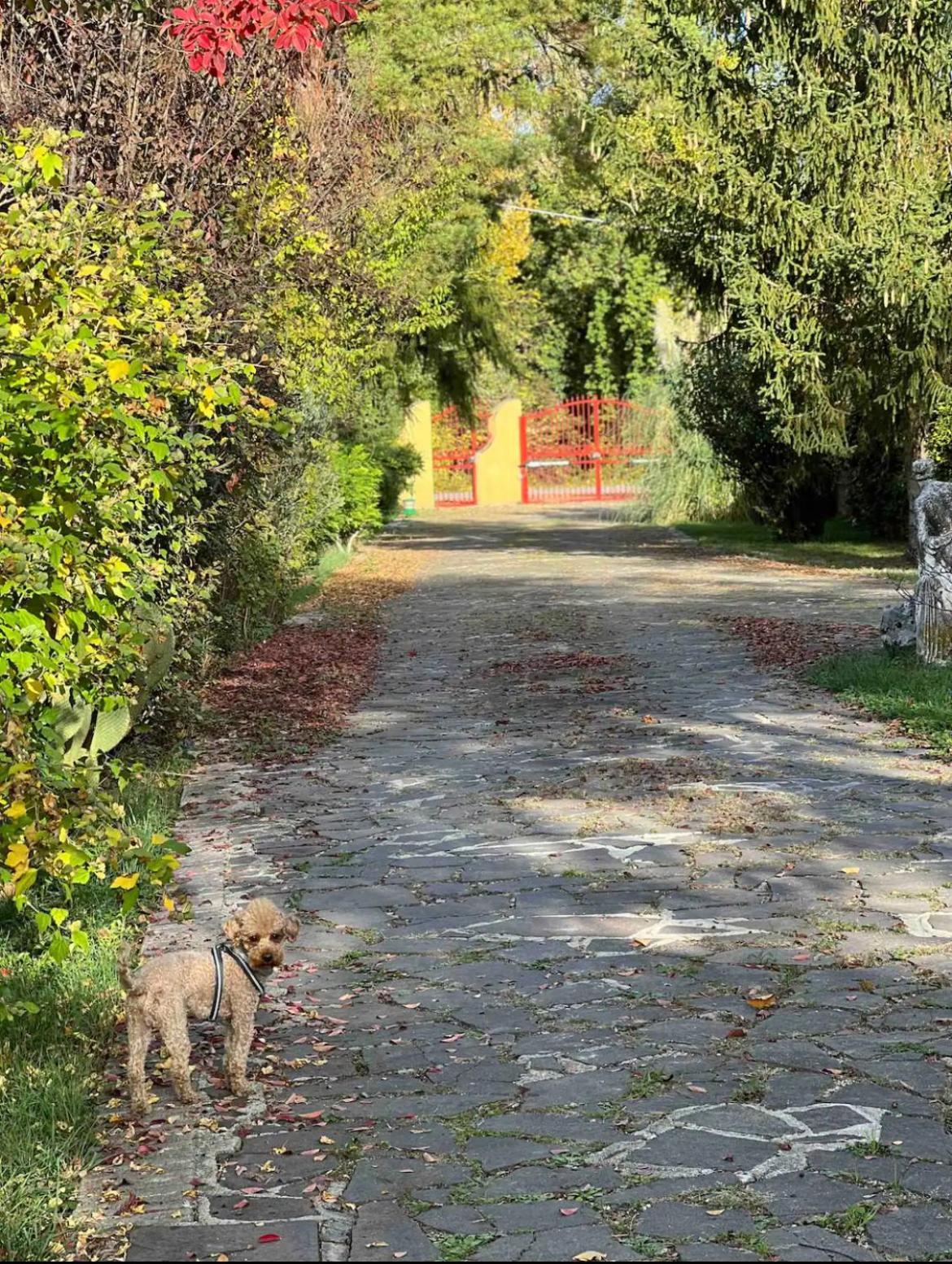 Villa Alberto Sulmona Bagian luar foto